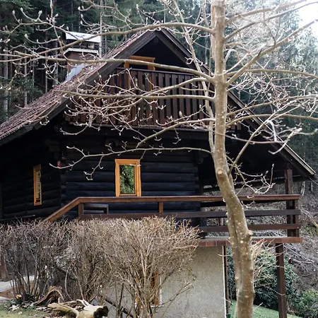 Marjetina Gozdna Hiska Ter (Ljubno)