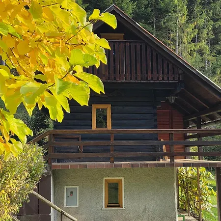 Marjetina Gozdna Hiska