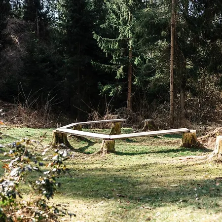 Marjetina Gozdna Hiska Ter (Ljubno)