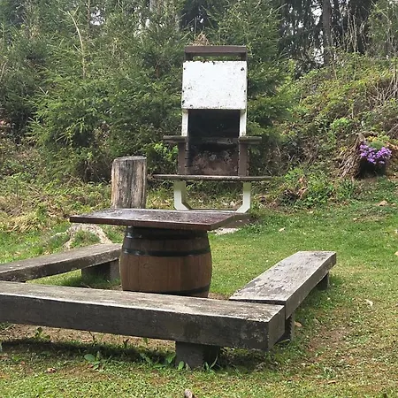 Marjetina Gozdna Hiska Ter (Ljubno)