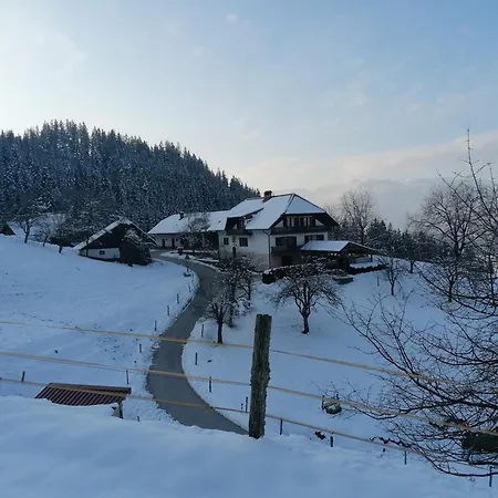 アパート Marjetina Gozdna Hiska Ter (Ljubno)