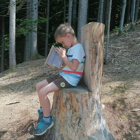 Marjetina Gozdna Hiska * Ter (Ljubno)